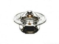 Land Rover Defender 1990-2016 thermostat
