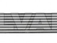 Renault Laguna 2007-2015 ÕHURADIAATOR (INTERCOOLER)