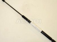 Citroen C4 2004-2010 LUUGI/KAPOTI AMORT