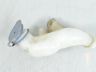 Volvo V50 Windshield washer tank tube  Part code: 30663929
Body type: Universaal